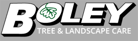 Boley Tree & Landscape Care, Inc. jobs